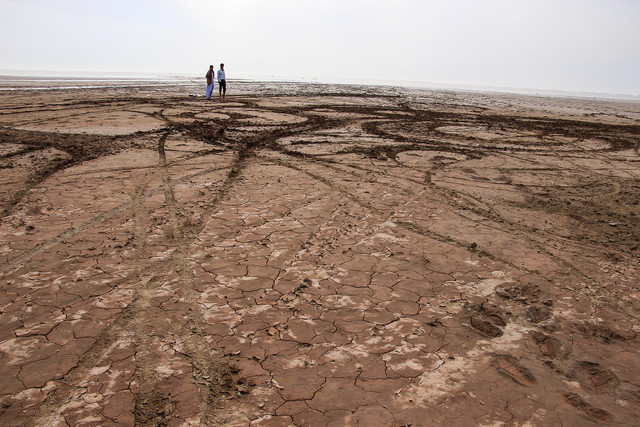 استان کرمان سالانه ۸ میلیارد دلار خاک از دست می دهد