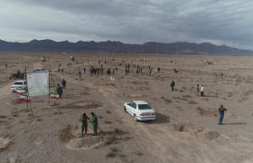 ۱۰۰ هکتار از اراضی کرمان درختکاری می‌شود