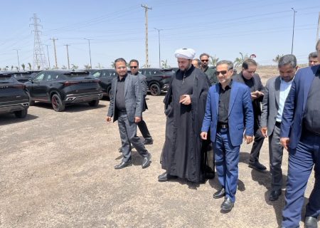 بازدید میدانی مسئولان قضایی و اجرایی از منطقه ویژه اقتصادی ارگ جدید بم/ بخشی از خودروهای دپو شده ترخیص شد